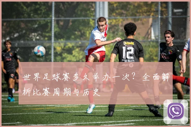 世界足球赛多久举办一次?全面解析比赛周期与历史